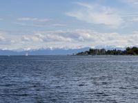 IMG_1350